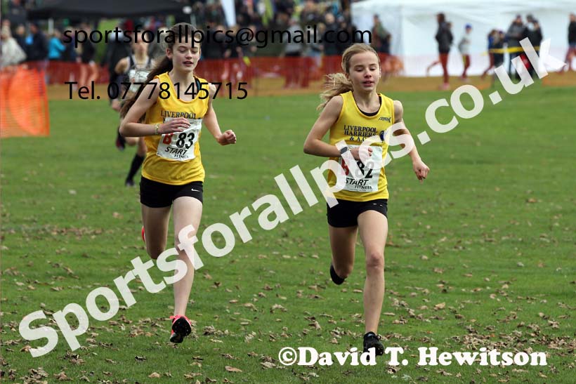 Girls under-13s Northern Cross Country Relays, Graves Park, Sheffield. Photo: David T. Hewitson/Sports for All Pics